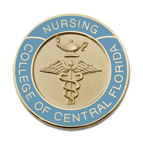 A.D.N. Nursing Pins