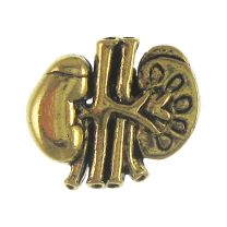 Gold Kidneys Lapel Pin - AN15