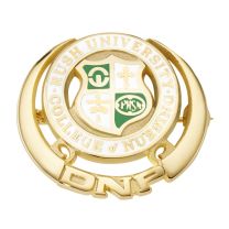 Gold Electroplate DNP Pin
